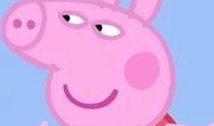 吃瓜爆料小猪图片表情包,小猪表情包萌动来袭！